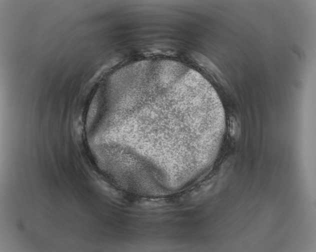 X0000113240915200910081254