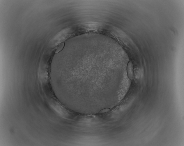 X0000113240916200910081254