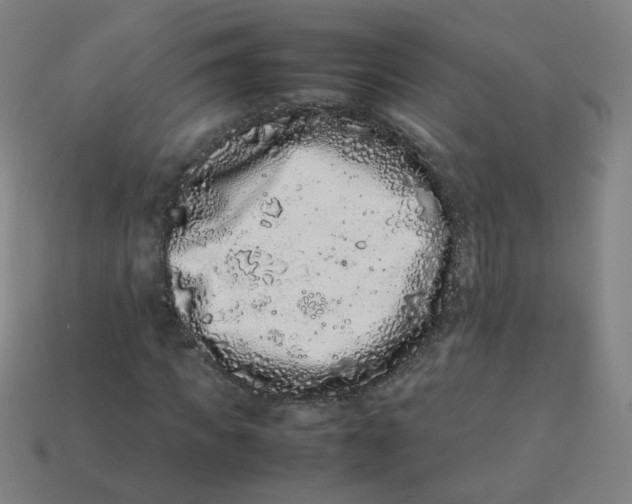 X0000113240917200910081254