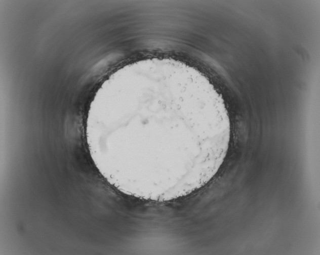 X0000113240918200910081254
