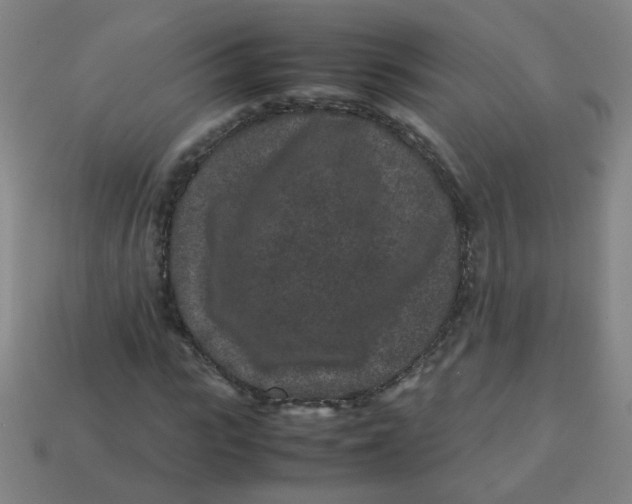 X0000113240919200910081254