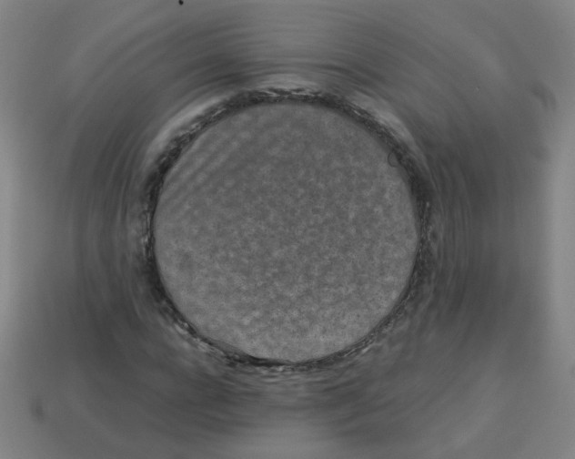 X0000113240920200910081255