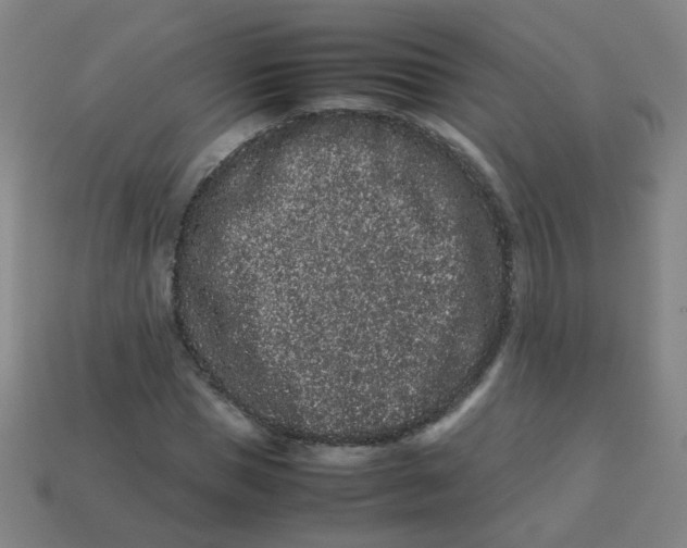 X0000113240921200910081255