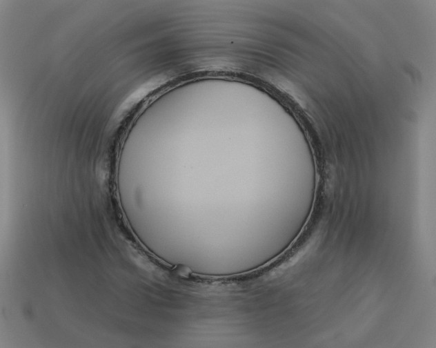 X0000113240922200910081255