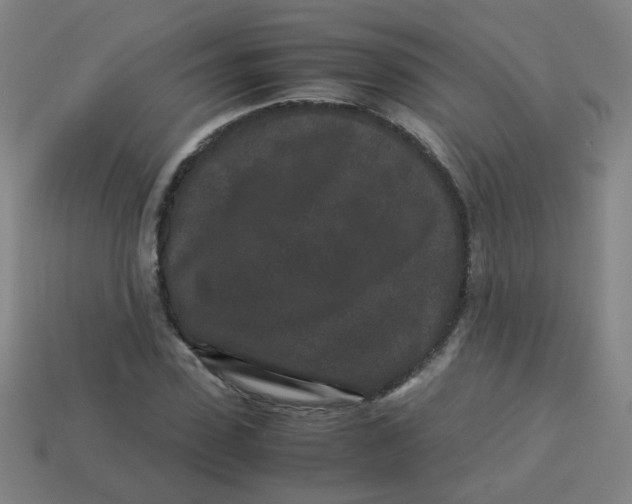 X0000113240923200910081255