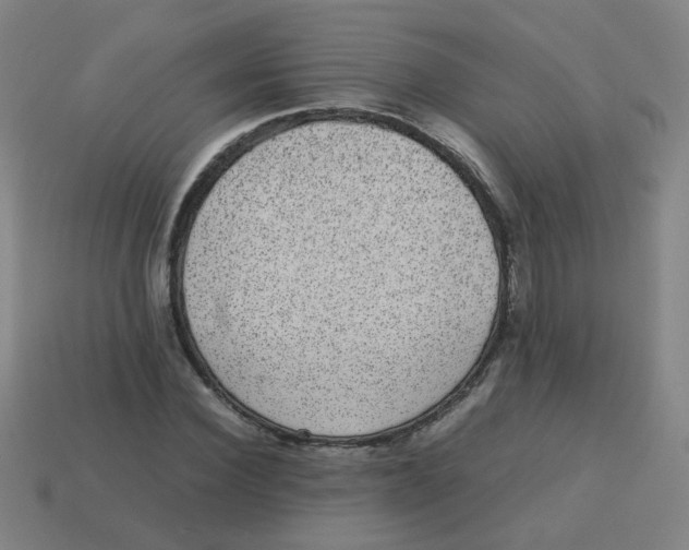 X0000113240924200910081255