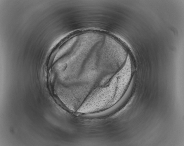 X0000113240925200910081255