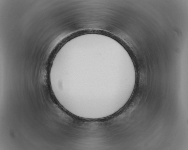 X0000113240926200910081255