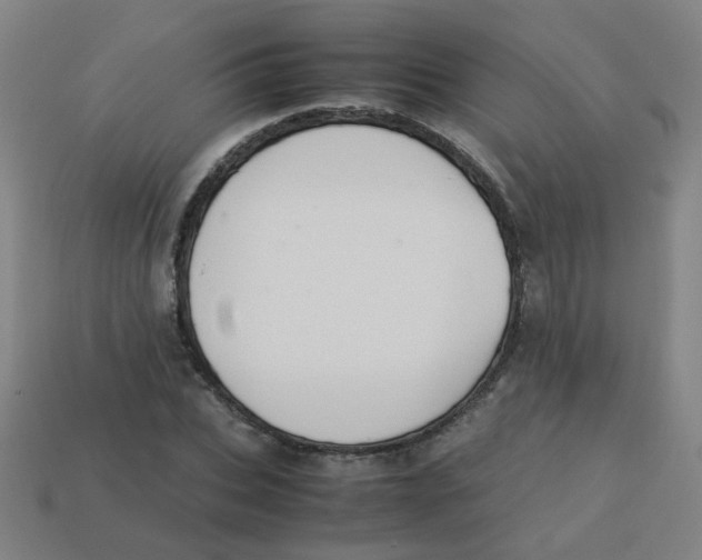 X0000113240927200910081255