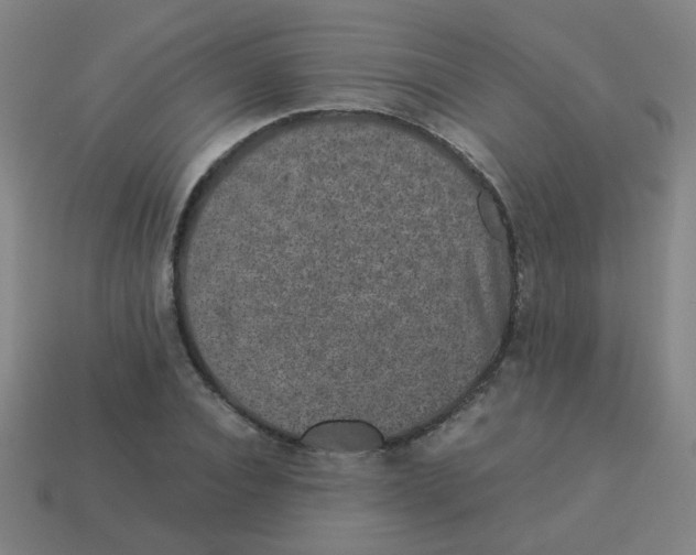 X0000113240928200910081255