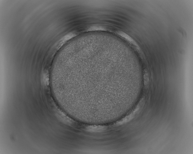 X0000113240929200910081255