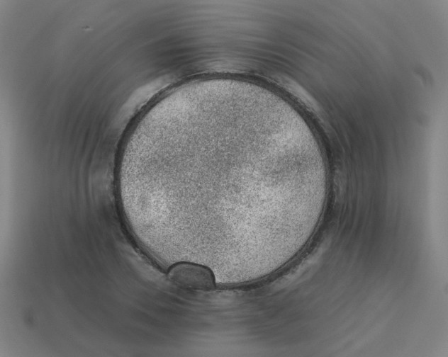 X0000113240930200910081255