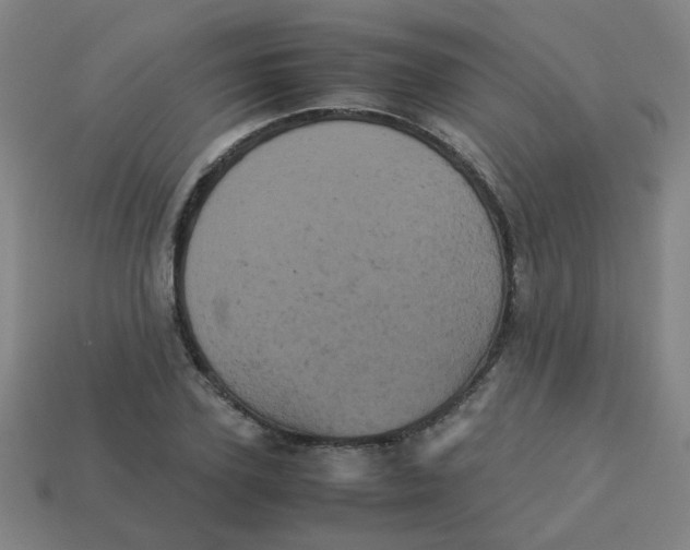 X0000113240931200910081255