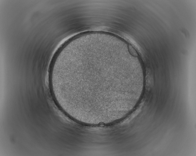 X0000113240932200910081255