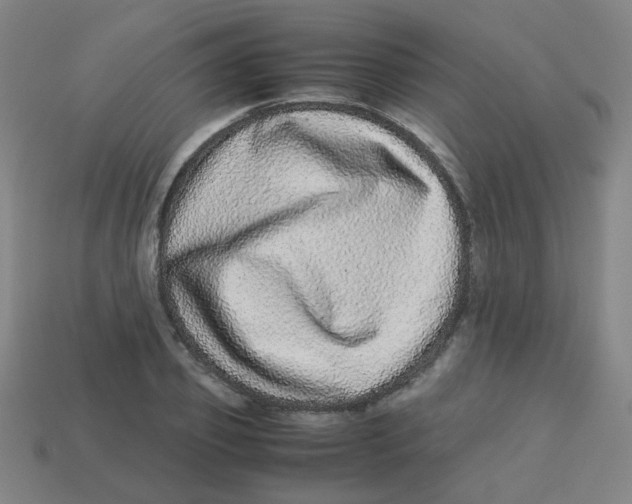 X0000113240933200910081255