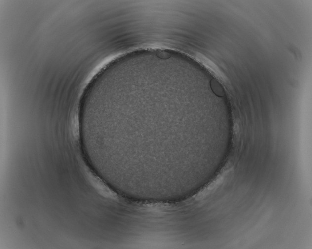 X0000113240934200910081255