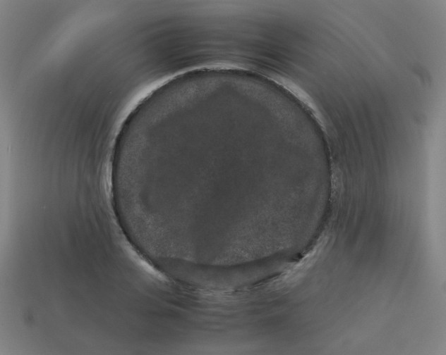 X0000113240935200910081255