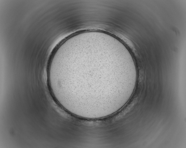 X0000113240936200910081255