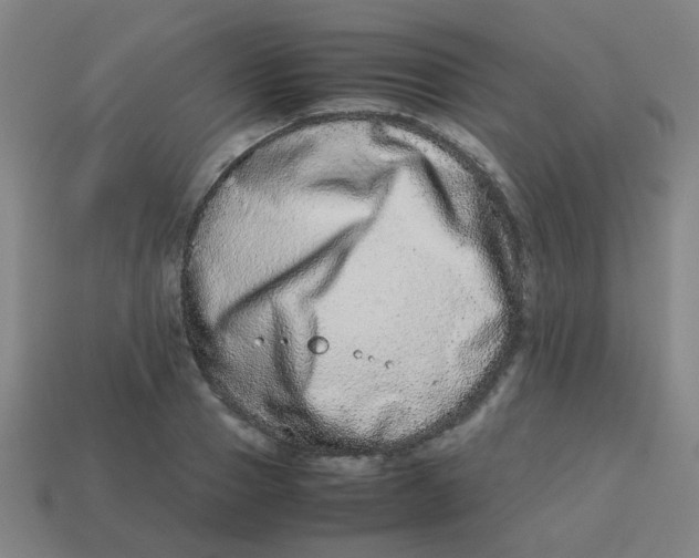 X0000113240937200910081255