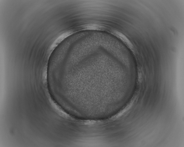X0000113240938200910081255