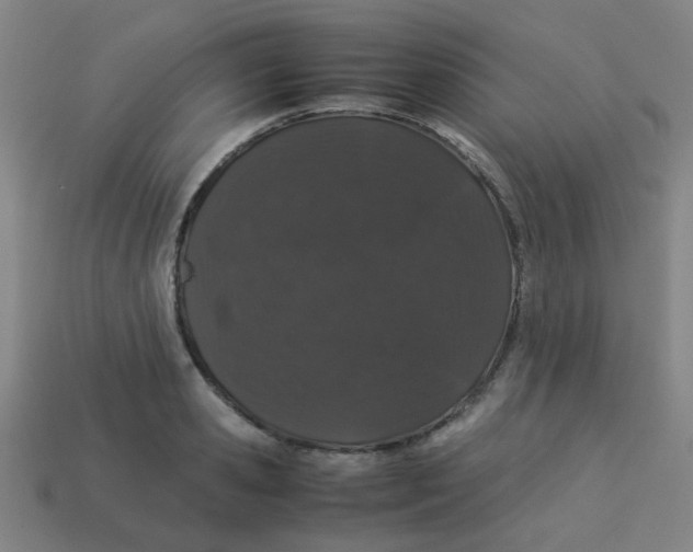 X0000113240941200910081255