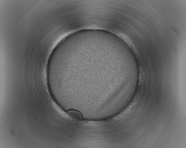X0000113240942200910081255