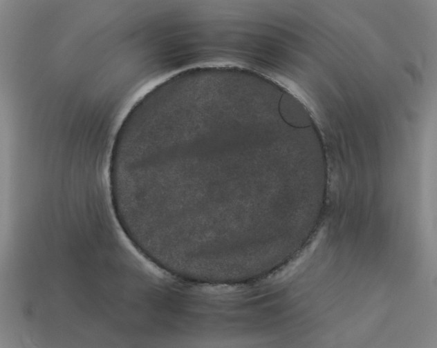 X0000113240943200910081255