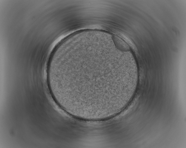 X0000113240944200910081255