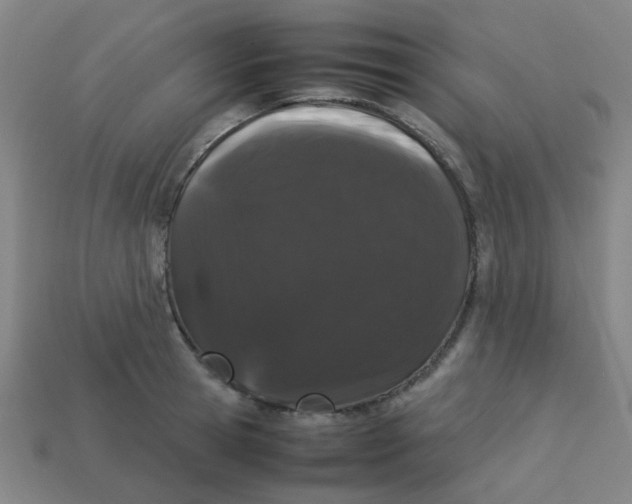 X0000113240945200910081255