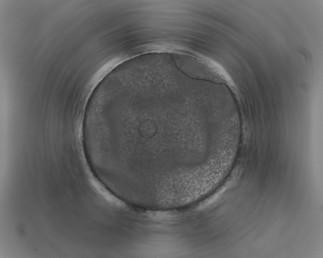 X0000113240946200910081255