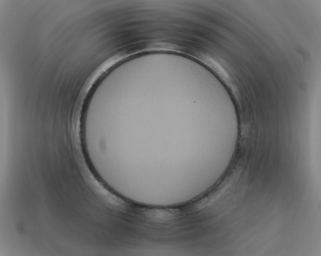 X0000113240947200910081255