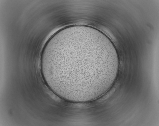 X0000113240948200910081255