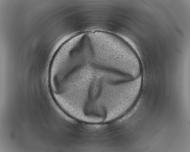 X0000113240949200910081255