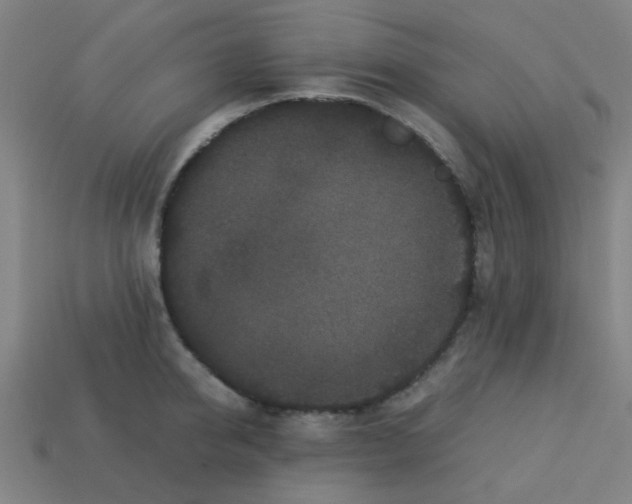 X0000113240950200910081255