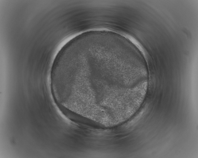 X0000113240951200910081255