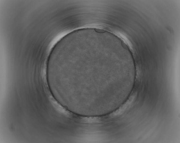 X0000113240952200910081255