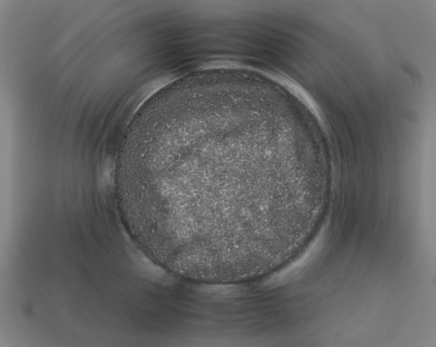 X0000113240953200910081255