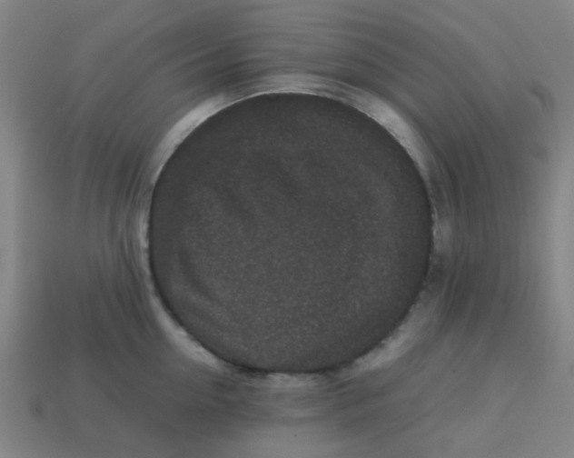 X0000113240954200910081255