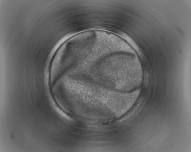 X0000113240955200910081255