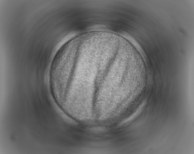 X0000113240957200910081255
