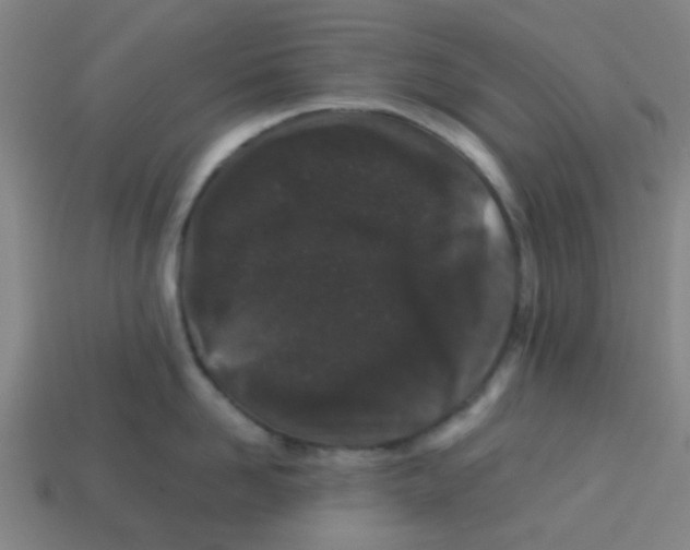 X0000113240958200910081255