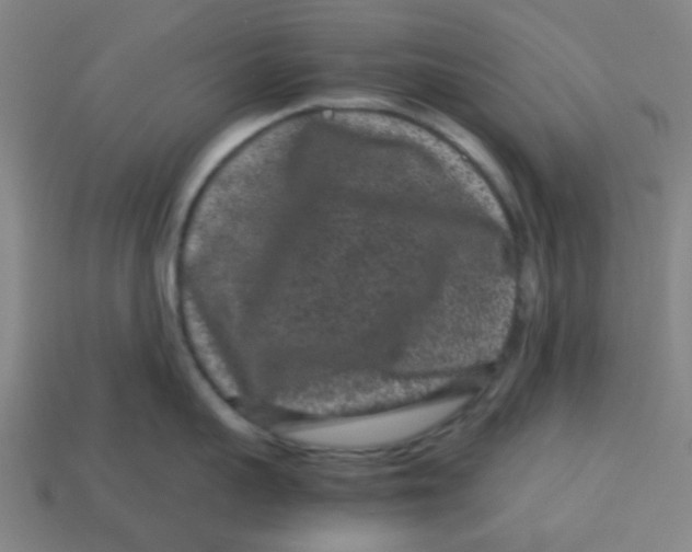 X0000113240959200910081255