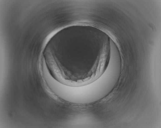 X0000113240960200910081255