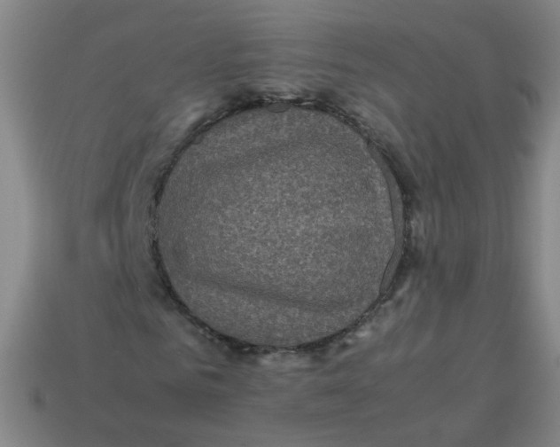 X0000113240961200910081254