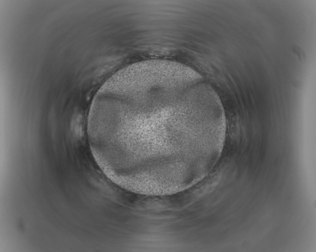 X0000113240962200910081254