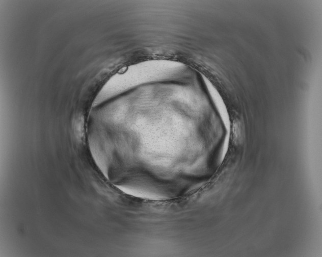 X0000113240963200910081254