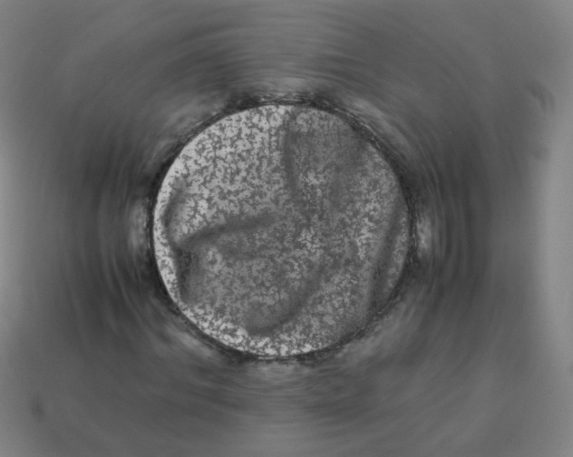 X0000113240964200910081254