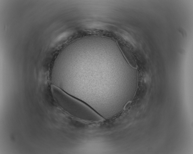 X0000113240965200910081254