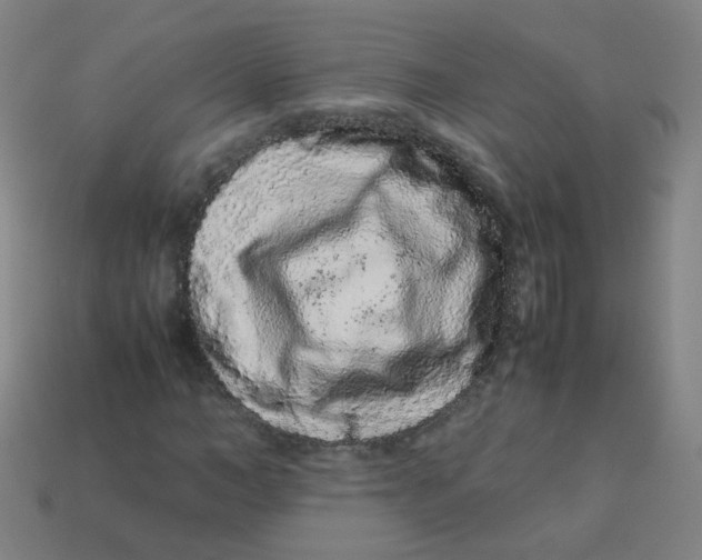 X0000113240966200910081254