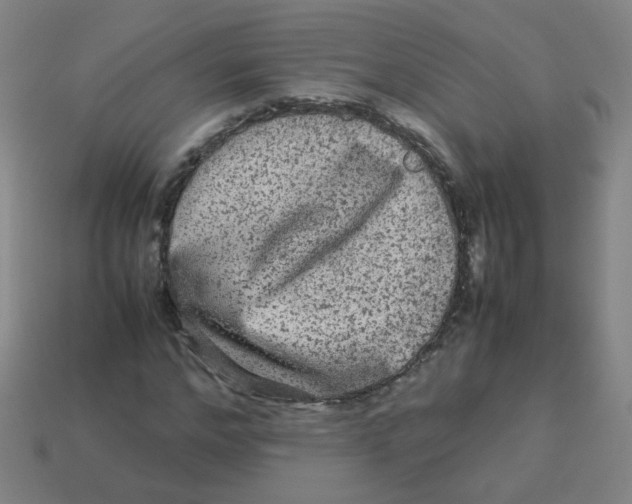 X0000113240968200910081254